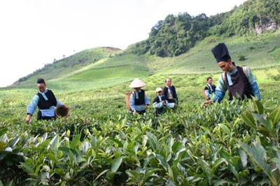 Huy động tối đa các nguồn lực xã hội thực hiện mục tiêu giảm nghèo bền vững