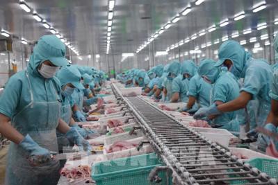 Ngân sách nhà nước ưu tiên thực hiện đầu tư, hỗ trợ phát triển thủy sản