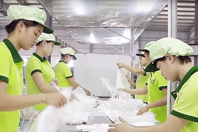 Góp phần tạo lập “cơ sở hạ tầng” cho hoạt động nâng cao năng suất chất lượng trong doanh nghiệp 