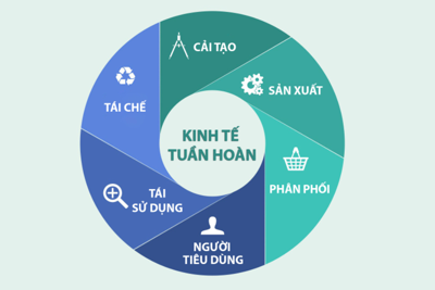 Kinh tế tuần hoàn - Mô hình phát triển kinh tế, bảo vệ môi trường