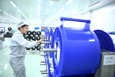 Phân loại doanh nghiệp do nhà nước nắm giữ 100% vốn điều lệ hoạt động