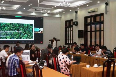 Giải pháp áp dụng mô hình kinh doanh tuần hoàn tại Việt Nam