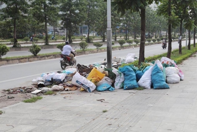 Vi phạm về bảo vệ môi trường nơi công cộng, khu dân cư bị phạt như thế nào?