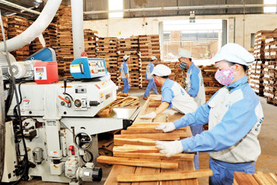 Tăng cường đào tạo nguồn nhân lực, hỗ trợ doanh nghiệp nâng cao năng suất chất lượng