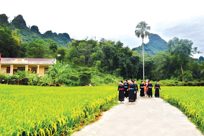 Phân bổ vốn ngân sách trung ương thực hiện Chương trình mục tiêu quốc gia xây dựng nông thôn mới năm 2021