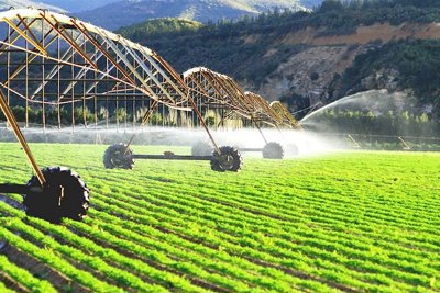 Sẽ có quy định mới về chính sách hỗ trợ bảo hiểm nông nghiệp