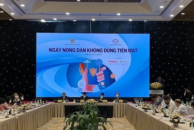 Triển khai các giải pháp không dùng tiền mặt cả ở khu vực nông thôn