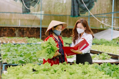 Moody’s giữ nguyên các xếp hạng và triển vọng của Agribank