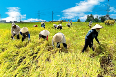 Hoàn thiện cơ chế quản lý tài chính đối với các quỹ hỗ trợ phát triển hợp tác xã