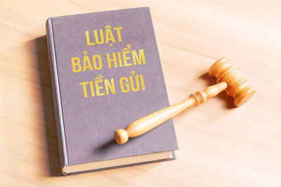 Sửa Luật Bảo hiểm tiền gửi để nâng tầm hoạt động bảo hiểm tiền gửi