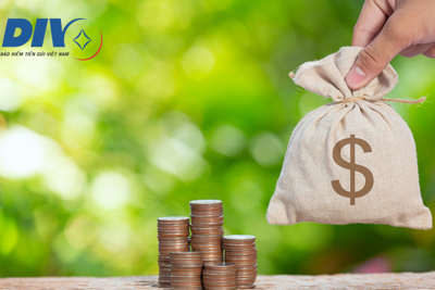 Các trường hợp nào được Bảo hiểm tiền gửi Việt Nam cho vay đặc biệt?