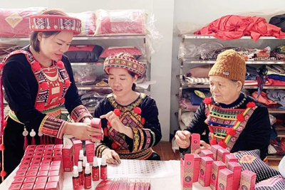 Nông sản miền núi lên sàn thương mại điện tử