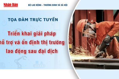Tọa đàm trực tuyến về giải pháp hỗ trợ, ổn định thị trường lao động sau đại dịch