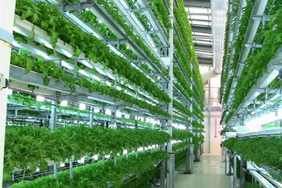 Phát triển doanh nghiệp nông nghiệp ở Việt Nam
