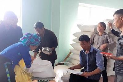 Cục DTNN khu vực Đông Bắc xuất cấp hàng dự trữ quốc gia an toàn, kịp thời