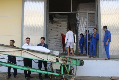 Cục Dự trữ Nhà nước khu vực Nghệ Tĩnh phấn đấu 100% kho dự trữ đạt vùng kho, ngăn kho kiểu mẫu