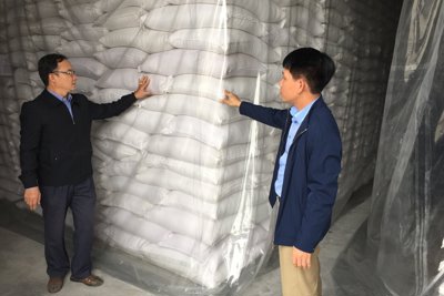 Cục DTNN khu vực Đông Bắc tiếp tục thực hiện tốt điểm kho "An toàn- xanh - sạch, đẹp