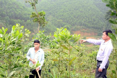Gỡ vướng về hạn mức chuyển mục đích sử dụng đất nông nghiệp sang đất ở