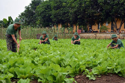 03 trường hợp sử dụng đất quốc phòng, an ninh kết hợp sản xuất không phải nộp tiền sử dụng đất