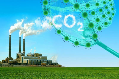 Việt Nam thúc đẩy phát triển thị trường carbon, góp phần giảm biến đổi khí hậu