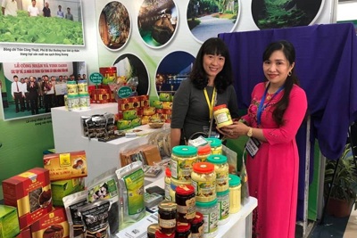 Quảng Bình triển khai nhiều giải pháp hỗ trợ doanh nghiệp năng suất và chất lượng sản phẩm