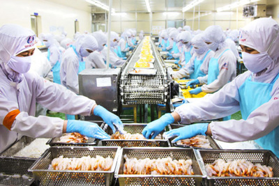 05 nhóm đối tượng được gia hạn thời hạn nộp thuế, tiền thuê đất