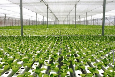 Phát triển tín dụng xanh tại Việt Nam