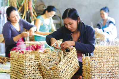 Phát huy vai trò của tài chính vi mô đối với phụ nữ nghèo 