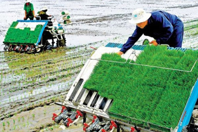 Đổi mới sáng tạo “mở đường” cho những thành tựu quan trọng trong nông nghiệp