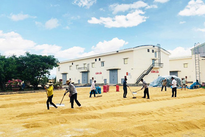Cục DTNN khu vực Nghĩa Bình nỗ lực vượt khó, hoàn thành xuất sắc nhiệm vụ 6 tháng đầu năm 2021