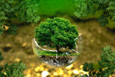 Mức xử phạt đối với vi phạm hành chính trong lĩnh vực bảo vệ môi trường quy định thế nào?