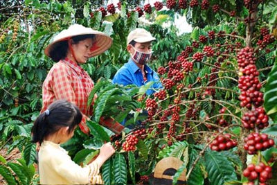 Đề xuất quy định mới về quản lý và sử dụng phí trong lĩnh vực bảo vệ thực vật