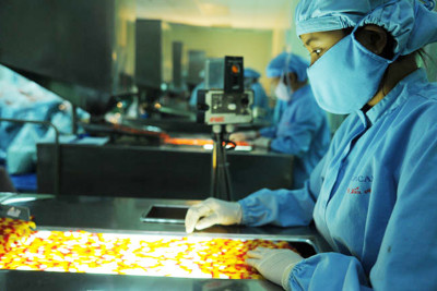 Cơ chế, chính sách đối với sản xuất, nhập khẩu, cung ứng thuốc trong tình hình dịch COVID-19