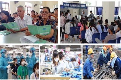 Cơ bản hoàn thành hỗ trợ theo Nghị quyết số 116/NQ-CP 