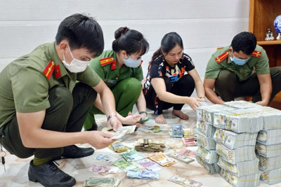 Khởi tố, bắt giam 6 bị can trong đường dây buôn lậu vàng và USD