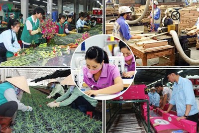 5 nhóm giải pháp phục hồi và phát triển kinh tế - xã hội