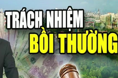Trách nhiệm bồi thường, hoàn trả của người quản lý DNNN và người đại diện phần vốn nhà nước tại doanh nghiệp