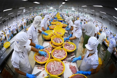 Xuất khẩu thủy sản Việt Nam đặt mục tiêu đưa kim ngạch 10 tỷ USD năm 2019