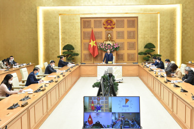 Triển khai kịp thời các giải pháp điều hành giá