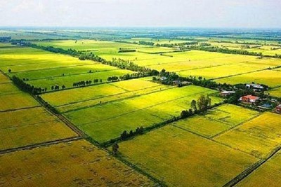 Chính phủ cho phép chuyển mục đích sử dụng đất tại 4 tỉnh