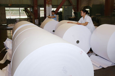 Thoái vốn 72,1 tỷ đồng tại Công ty cổ phần Tập đoàn Tân Mai