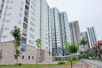 Chưa như kỳ vọng! 