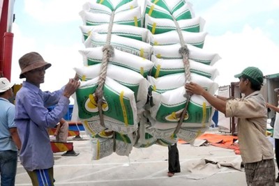 Công bố kết quả kiểm tra việc mua gạo dự trữ quốc gia 4 tháng đầu năm 2020 