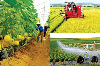 Triển vọng phục hồi của nông nghiệp thực phẩm 