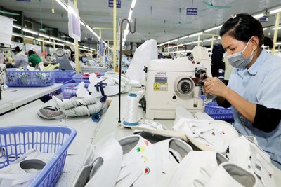 Đơn hàng dồn dập trở lại, da giày hồi phục sản xuất
