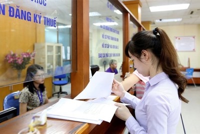 Bộ Tài chính chú trọng kiểm tra, rà soát văn bản quy phạm pháp luật và theo dõi thi hành pháp luật