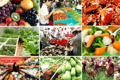 Thúc đẩy tăng trưởng nông nghiệp trong bối cảnh dịch Covid-19