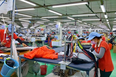 Dịch chuyển lao động nông nghiệp ở Việt Nam: Một số hàm ý chính sách