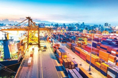 Kinh tế Việt Nam sáu tháng đầu năm và triển vọng năm 2021