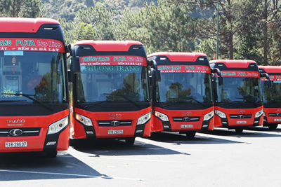Những chuyến xe phương trang đưa đồng bào Phú Yên về quê tránh dịch 